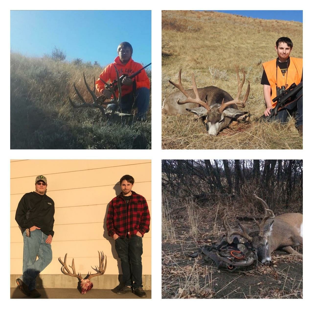 Hunting trophy